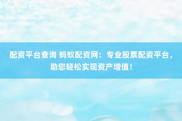 配资平台查询 蚂蚁配资网：专业股票配资平台，助您轻松实现资产增值！