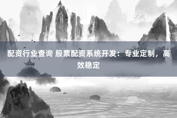 配资行业查询 股票配资系统开发：专业定制，高效稳定