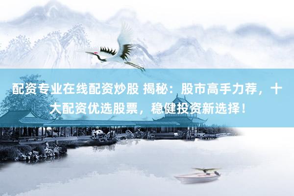 配资专业在线配资炒股 揭秘：股市高手力荐，十大配资优选股票，稳健投资新选择！