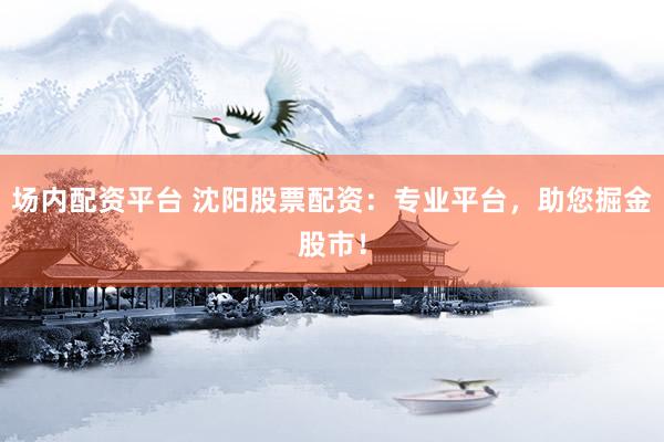 场内配资平台 沈阳股票配资：专业平台，助您掘金股市！