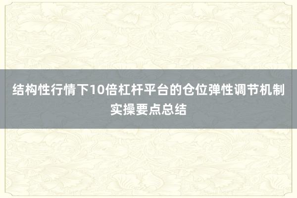 结构性行情下10倍杠杆平台的仓位弹性调节机制实操要点总结